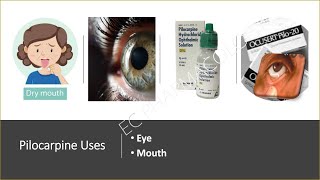 Cholinergic Drugs Direct actingIndirect acting simple explanationTamil [upl. by Novak]