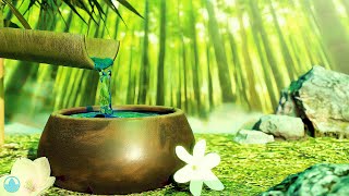 12 Hours Serene Bamboo Fountain Sounds and Relaxing Music for Stress Relief [upl. by Molini922]