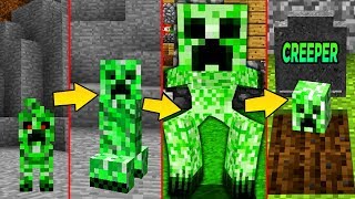 CREEPER LEBENSZYKLUS in Minecraft Von GEBURT bis zum TOD [upl. by Verney515]