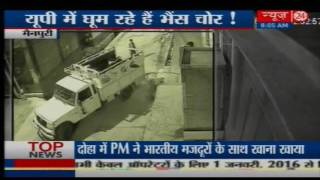 CCTV camera catche Buffalo Stolen  Mainpuri UP [upl. by Sheets]