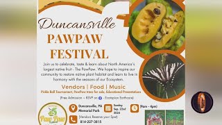 Upcoming Duncansville Paw Paw Festival Hopes to Raise Awareness for PA Native Fruit [upl. by Hobard]