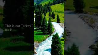 Beautiful swat travel northernareas shortsviral incrediblepakistan nature shorts views visit [upl. by Nadeau]