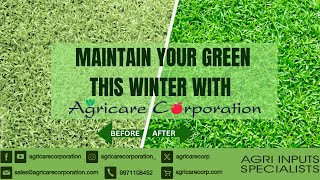 Maintain Your Greens this Winter with Agricare  Golf Green Maintenance Guide golfcourse agricare [upl. by Ipoillak720]