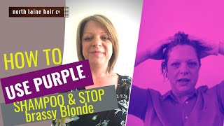 HOW TO USE BEST PURPLE SHAMPOO Fanola to STOP Brassy Blonde Highlights or Balayage Tutorial 5 [upl. by Ainex]