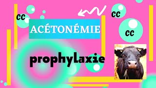 ACÉTONÉMIE  prophylaxie et FIN [upl. by Eikram]