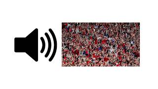 Crowd Stadium Sounds 1 Hour  Sound Effect  ProSounds [upl. by Zeitler]