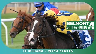 La Mehana  2024  Waya Stakes [upl. by Gadmon]