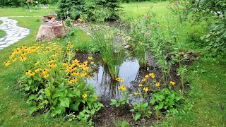 GIARDINO ANTIALLUVIONE 🌧️🌳💧raingarden garden gardenideas rainbarrel [upl. by Ataliah647]