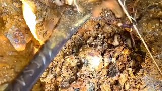 Gold Panning  Mendulang Emas  Lapisan Batu Ini Banyak Kandungan Emasnya shorts mendulangemas [upl. by Sokcin]