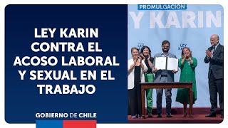 Promulgación de la Ley Karin contra el acoso laboral y sexual en el trabajo [upl. by Annahsed]