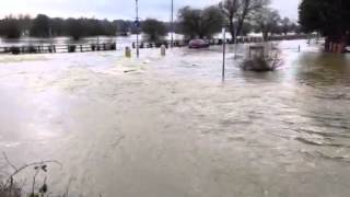 Thames floods  Chertsey Mead inundated [upl. by Kaleena]