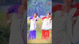 Priyanka Bharali Xile Xile Theka Khale assamesesong video [upl. by Alehc]