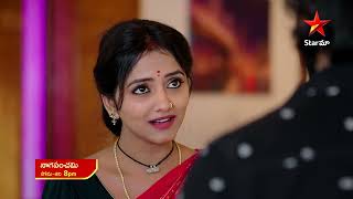 NagaPanchami  Promo  25th Dec 2023  Star Maa Serials  Mon Sat at 8 pm  Star Maa [upl. by Hurleigh636]