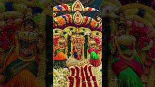 alagendra sollukku muruga murugansongswhatsappstatus [upl. by Ann89]