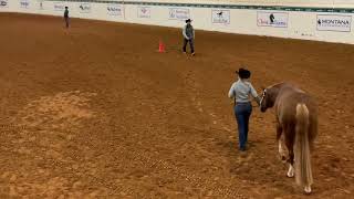 Nutrena Ride the Pattern Clinic Showmanship [upl. by Patin]