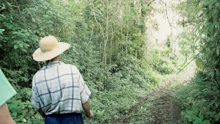 Viver no Brasil falando Hunsrückisch Documentário [upl. by Nnadroj]