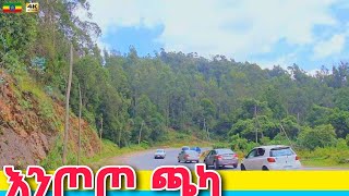 የአዲስ አበባ መግቢያ  Entoto Forest Addis Ababa 🇪🇹 Ethiopia Walking tour 2024 [upl. by Brady]