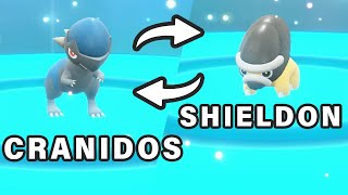 How to get Shieldon Violet amp Cranidos Scarlet ► Pokemon Scarlet amp Violet [upl. by Michel496]