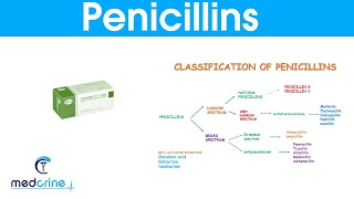 Penicillins classification MOA indications  side effects pharmacokinetics [upl. by Ahsatniuq168]