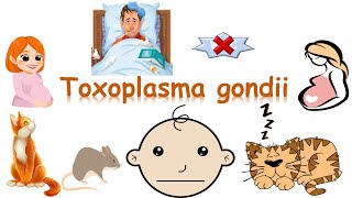 شرح Toxoplasma gondii [upl. by Tiffani516]