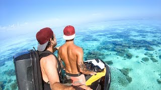 YBS Lifestyle Ep 39  BEST CONDITIONS EVER  Friendly Kangaroo  Squid Catch And Cook [upl. by Worthington]