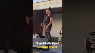 Adina Howard“Blame It On the Liquor” new song [upl. by Plerre753]