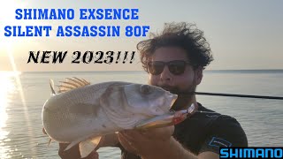 SHIMANO EXSENCE SILENT ASSASSIN 80F IL PICCOLO ACCHIAPPA SPIGOLE [upl. by Pierette]