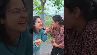 Pulasan vs Rambutan The Ultimate Taste Test Challenge india kerala malaysia mallu vlog [upl. by Tindall902]