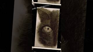 Gatto nero beart cat black disegno pencildrawing shorts drawing drawingart trending [upl. by Mella]