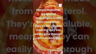 Ep 3 Did you know what steroid hormones are 🧬science hormones viralshorts facts trendingvideo [upl. by Aztirak]