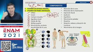 Semiología en Neurología [upl. by Arebma]