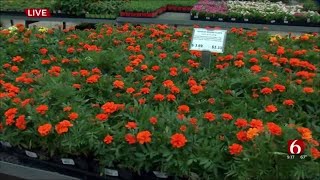 Watch Springtime Gardening Tips From HGTV Gardening Star Paul James [upl. by Mansur]