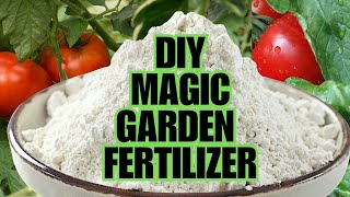 Magic Fertilizer For All Vegetables  100 Success Results [upl. by Bibby]