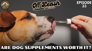 Are Dog Supplements Worth It [upl. by Radu]