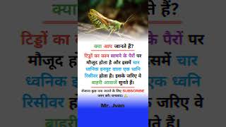 tidde sunte kaise hain knowledge [upl. by Niltyak]