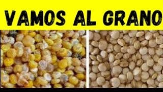 PRIMERA PARTE SOBRE PROPIEDADES DE SEMILLAS DE LA SALUD UTILIZADAS EN MIXTURAS PARA PÁJAROS [upl. by Marie-Ann]