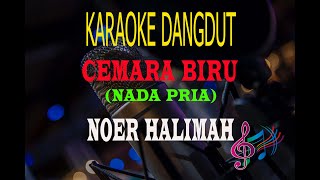 Karaoke Cemara Biru Nada Pria  Noer Halimah Karaoke Dangdut Tanpa Vocal [upl. by Lednar]