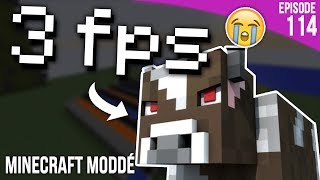 LES VACHES ONT DÉTRUIT MA MAP  Minecraft Moddé S3  Episode 113 [upl. by Yl]