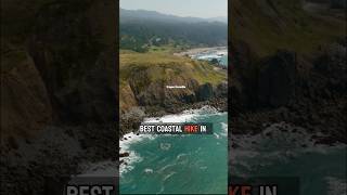 The best coastal hike in Oregon travel oregon oregoncoast [upl. by Nyliret221]