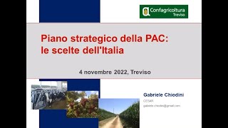 Il piano strategico della PAC 04112022 [upl. by Witt]