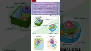 Plant cell and Animal cell  Difference  General Science  science gk shorts biology [upl. by Lory]