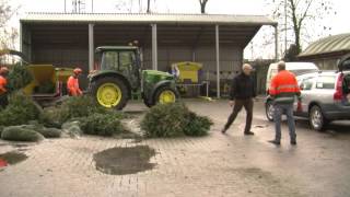 Kerstboom levert Borselse kinderen zakcentje op [upl. by Yuji]