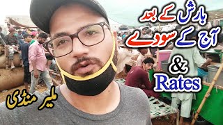 Barish K Baad Rates Gir Gey Malir Mandi 2020 Latest Update  Animal Point Pk [upl. by Rellek]