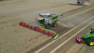 Żniwa 2024 Kombinat Rolny Kietrz 4x Claas Lexion 8900 [upl. by Minabe]