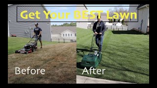 Lawn Renovation Step by Step Guide [upl. by Iila794]