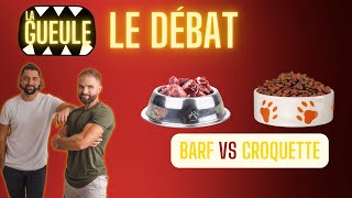 BARF vs CROQUETTES  Le débat [upl. by Paquito]