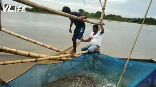 Villagers man fishing 200kg fish in one single time by net fishing।। fishing in Brahmaputra river।। [upl. by Ahsima]