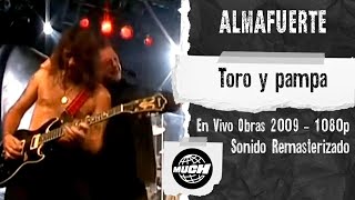 Almafuerte  Toro y pampa En Vivo Obras 2009 MuchMusic 1080p [upl. by Sucerdor]