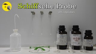 Schiffsche Probe  eine Nachweismöglichkeit für  🤔 [upl. by Bohman]