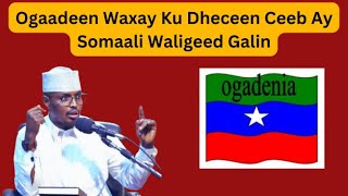 Ogaadeen Waxay Ku Dheceen Ceeb Ay Somaali Waligeed Galin Sh Xassaan Abu Salmaan [upl. by Vivle]